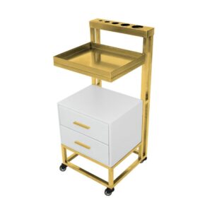 PVD Multipurpose Salon Trolley