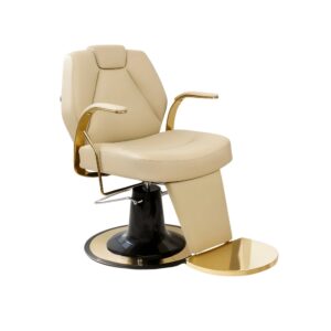 Picaso Barber Chair